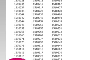 行政書士試験合格しました